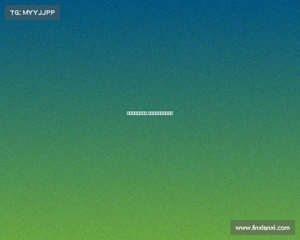 最新女排赛事完整,最新女排赛事完整直播